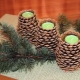 Crafts from cedar cones