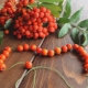 Rowan crafts