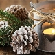 Crafts from pine cones