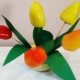 Variety of pepper crafts
