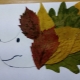 Applications of animals from leaves