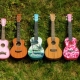 What is a ukulele and how to choose an instrument?