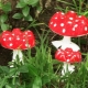 Making a handicraft Amanita