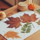 How to dry your craft leaves?
