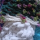 Features and types of fancy yarns