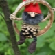 Variety of crafts Leshy