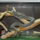 What are snake terrariums and how to equip them?