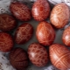 Why are eggs painted on Easter?