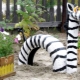 Country crafts for the garden