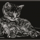 Prints for children