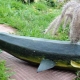 Making crafts from zucchini