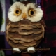 How to make an owl from cones?