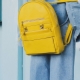 What are backpacks and how to choose them?