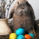 Why is the rabbit a symbol of Easter?