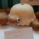 Crafts from squash