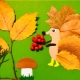 Variety of applications on the theme of Autumn
