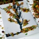 Applications from natural materials