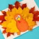 Application Peacock from leaves