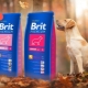 Brit range of food for large breed dogs