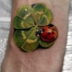 What does a ladybug tattoo mean and what can it be?
