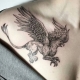 What do griffin tattoos mean and what are they like?