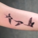 What do swallow tattoos mean and what are they like?