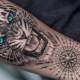 What do tiger grin tattoos mean and what are they like?