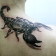 What do scorpion tattoos mean and what are they like?