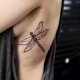 What do dragonfly tattoo mean and what are they like?
