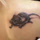 What do rat tattoos mean and where to apply them?