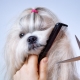 What is grooming and how is it done?