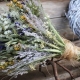 What are dried flowers for floristry and how to collect a bouquet from them?