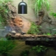 What is a terrarium and how to equip it?