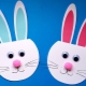 Making an application Bunny