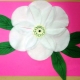 We make flowers from cotton pads with our own hands