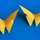 Making origami in the form of a butterfly