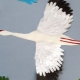 Making crafts Crane