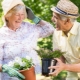 Hobby for retirees