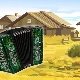 How to learn to play the harmonica?