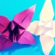 How to make origami iris?
