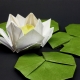 How to make origami in the form of a water lily?