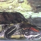 How do red-eared turtles sleep?