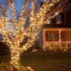 How to decorate a tree with a garland outside?