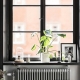 How to decorate a windowsill?