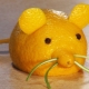 What kind of crafts can you make from fruits?