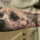What are dog tattoos and where to get them?