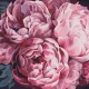 Paint by number with peonies