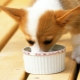 Brit dog food