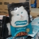 Chammy cat food