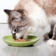 ProBalance cat food